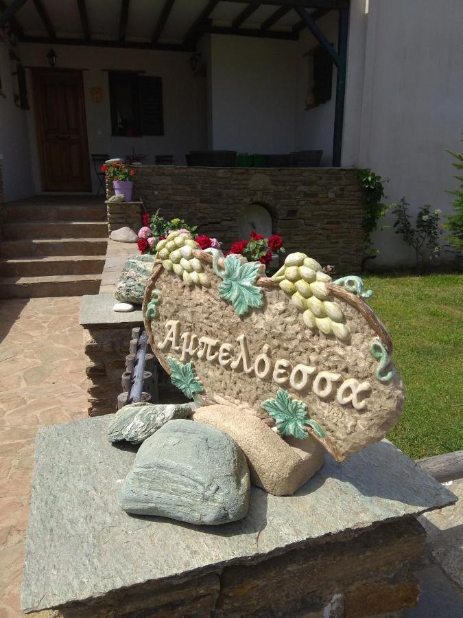 Ferienwohnung Ampeloessa Mési Exterior foto