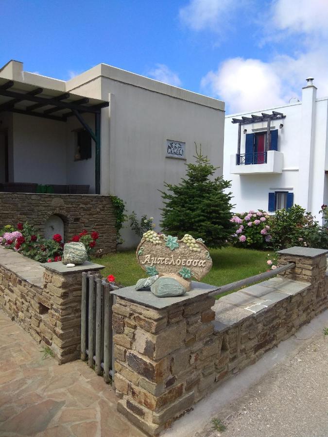 Ferienwohnung Ampeloessa Mési Exterior foto