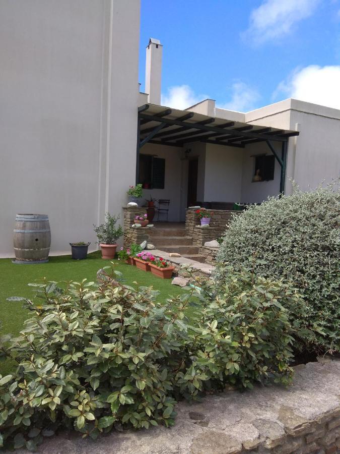 Ferienwohnung Ampeloessa Mési Exterior foto
